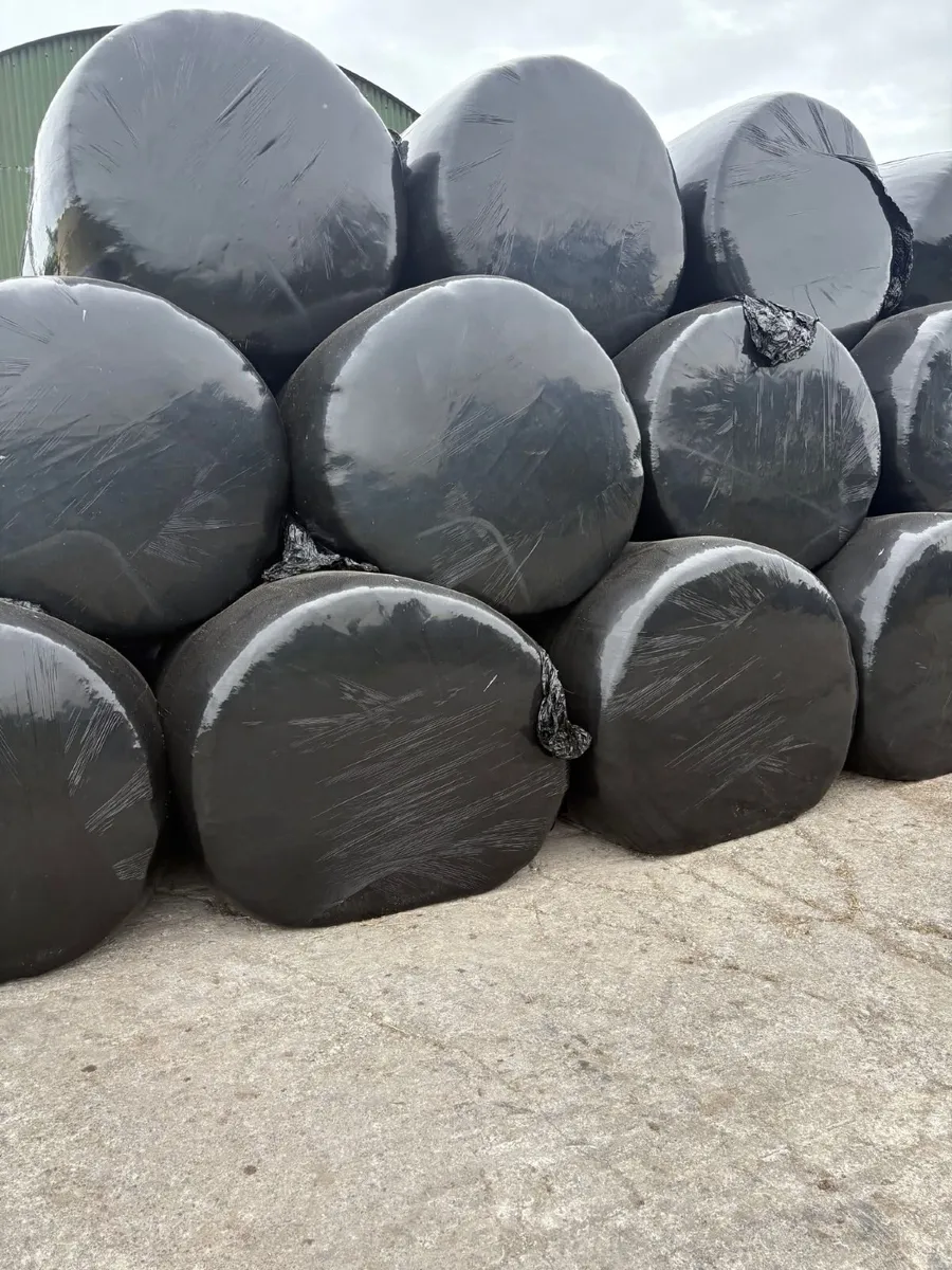 Silage - Image 1