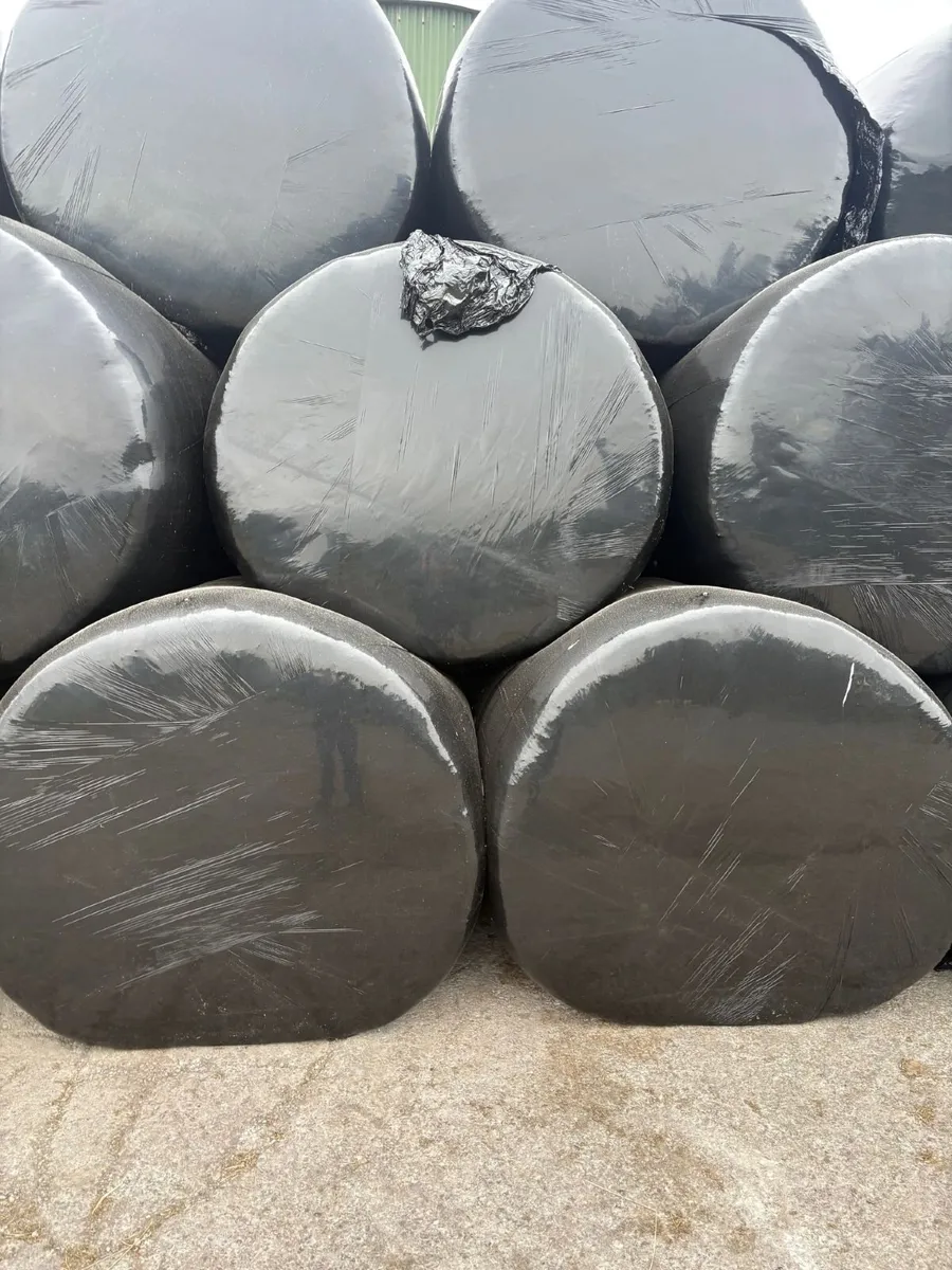 Silage - Image 2