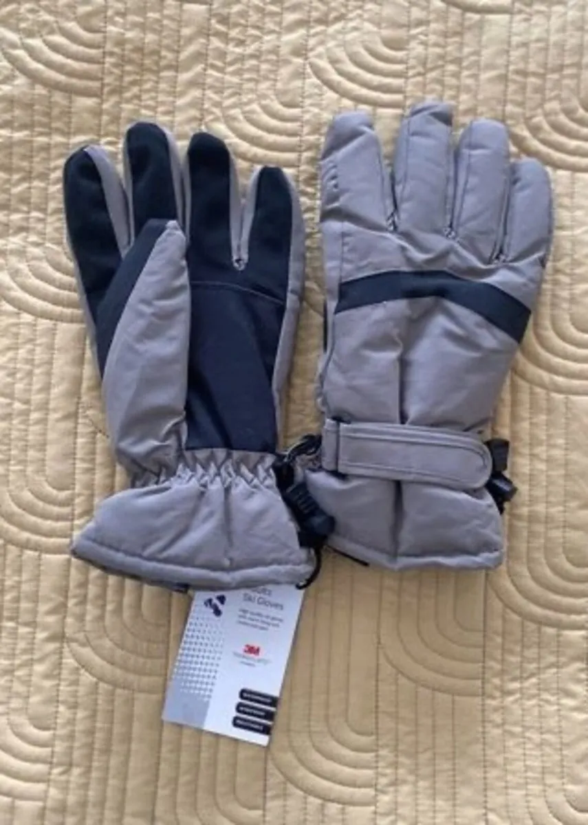Adult Ski gloves - Image 1