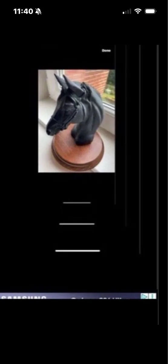Vintage Horse Head Display - Image 3