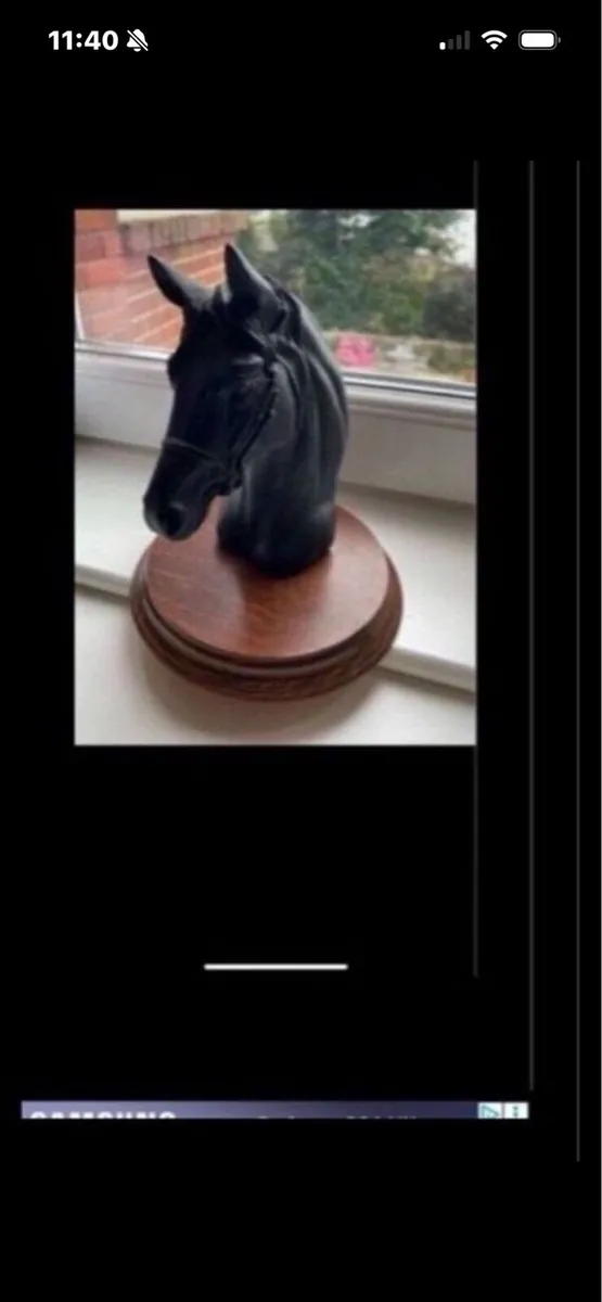 Vintage Horse Head Display - Image 4
