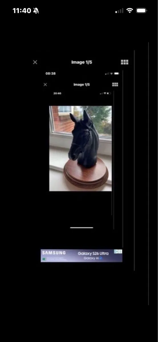 Vintage Horse Head Display - Image 1