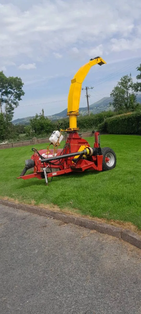 Tullow double chop for sale - Image 1