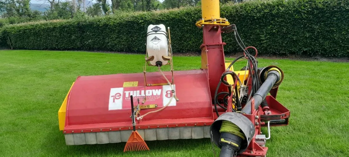 Tullow double chop for sale - Image 4