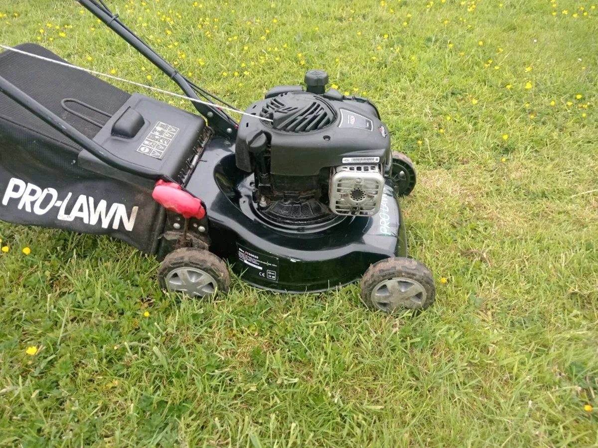 Lawnmowers - Image 1