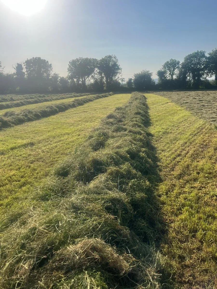 Grass seed & cover crop mixes - Image 1
