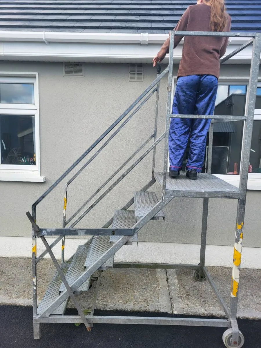 Galvanised step frame painting or cleaning - Image 1