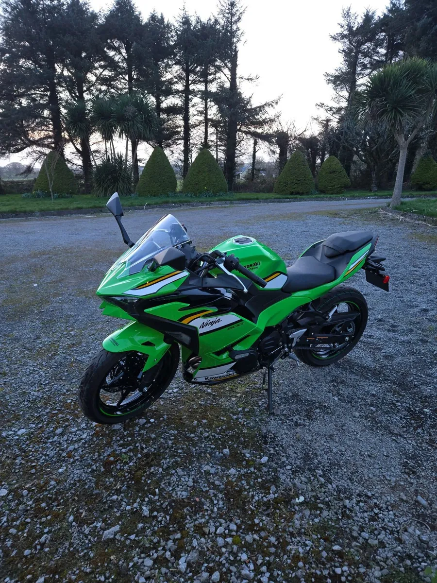 Kawasaki  Ninja 500 SE -  2026 - Image 2