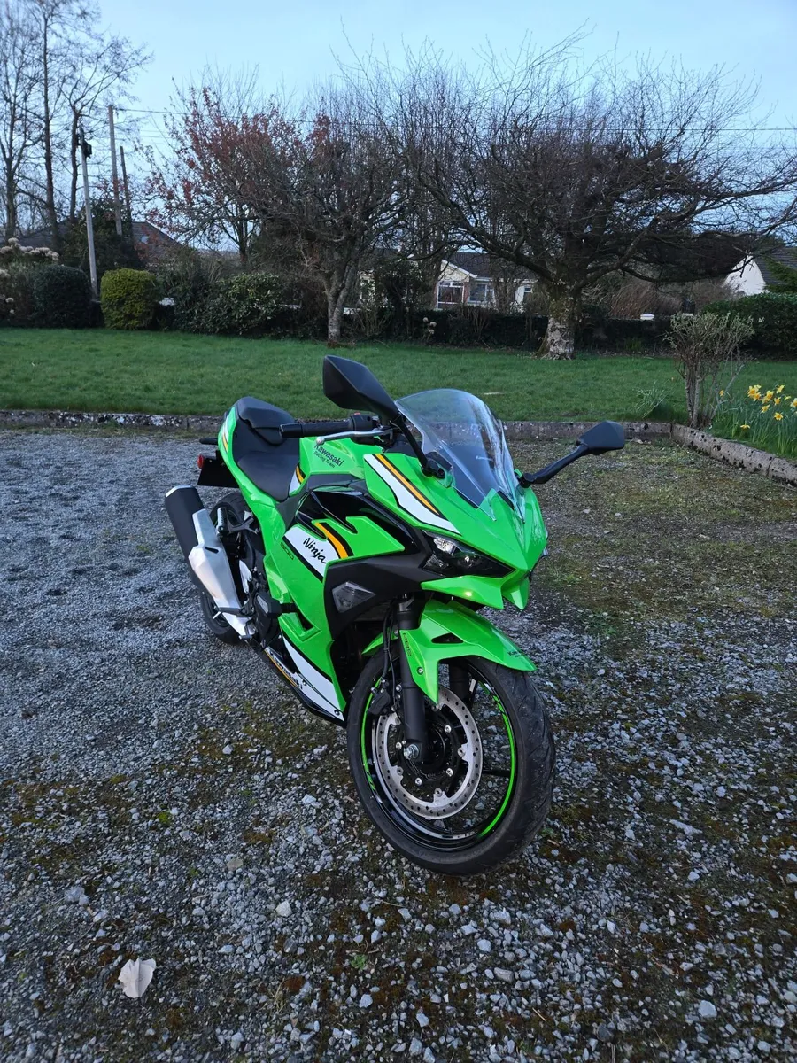 Kawasaki  Ninja 500 SE -  2026 - Image 1