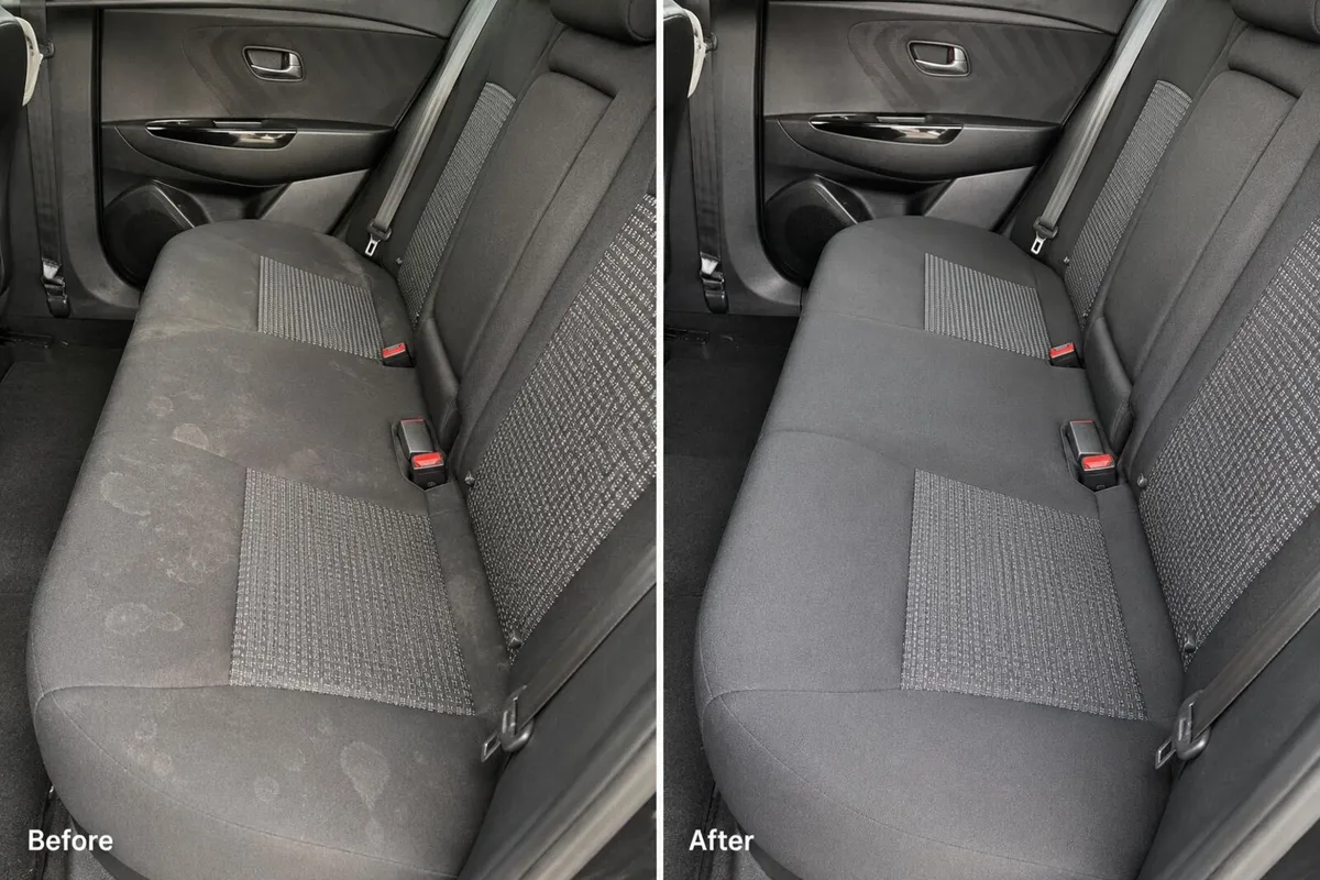Carpet & Upholstery Cleaning and Handyman Services - Image 2