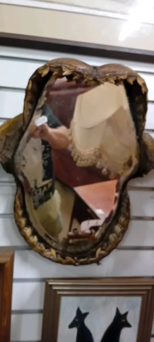 Victorian Taxidermy Sharks Teeth Mirror - Image 1