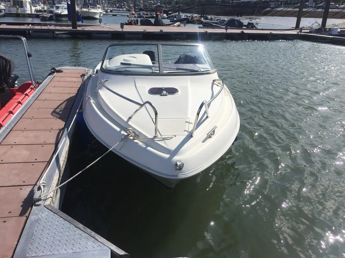 Boat Galeon Galia 560 Cuddy with Mercury 60HP - Image 1