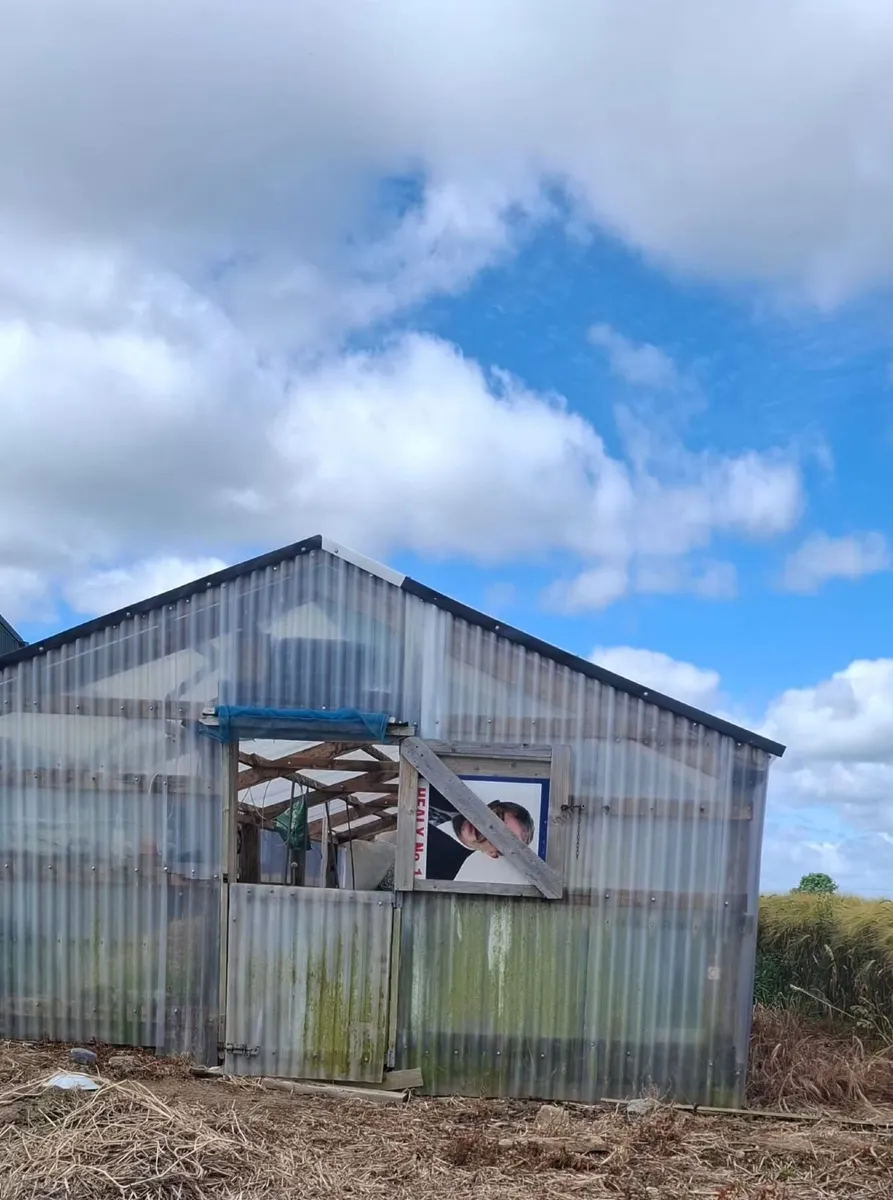 Green  house - Image 1