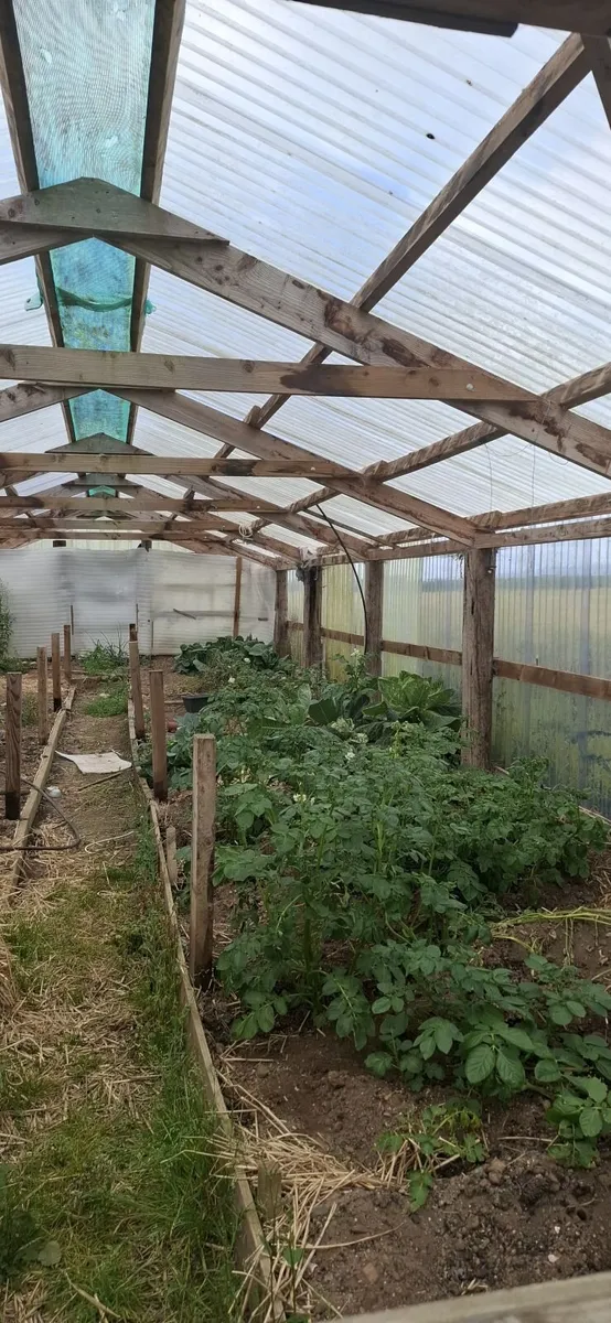 Green  house - Image 2