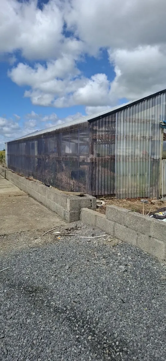 Green  house - Image 4
