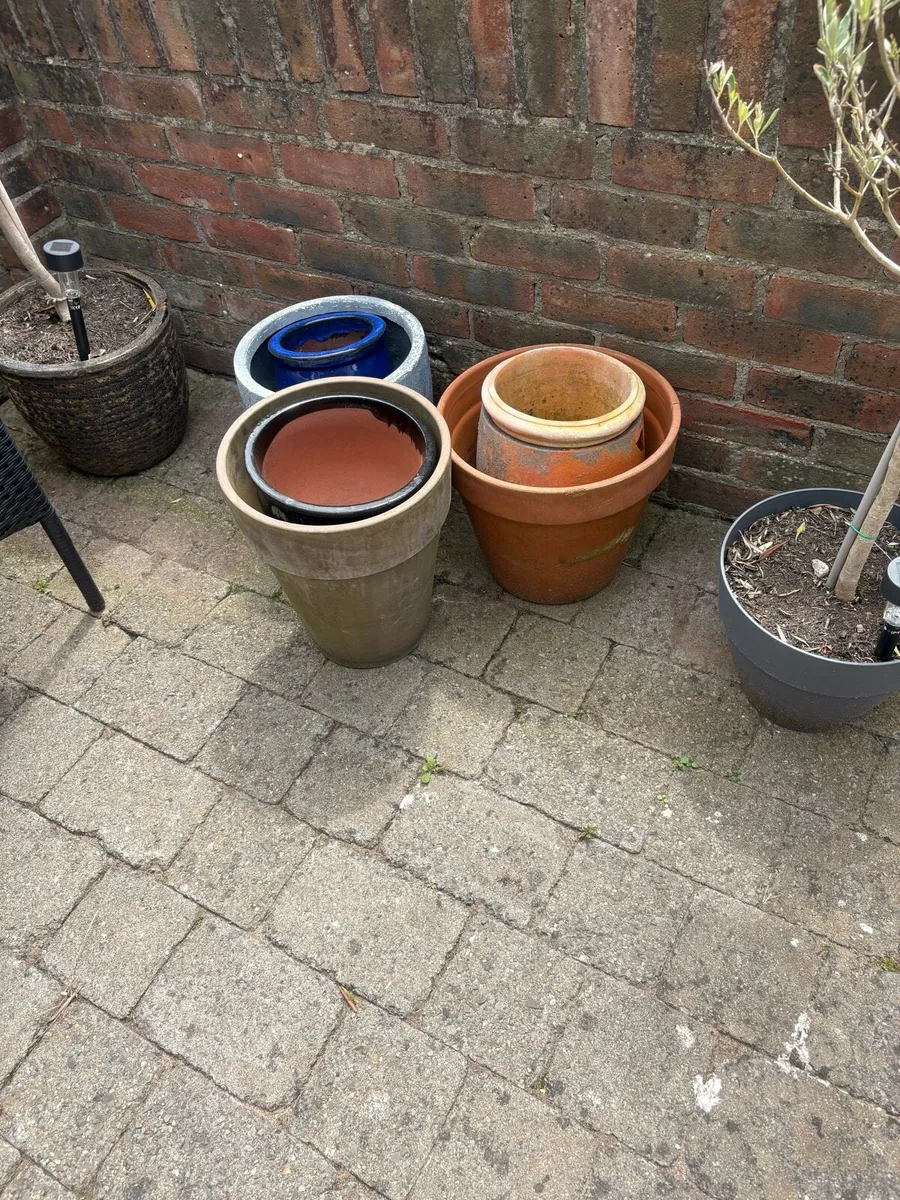 Plant pots Free