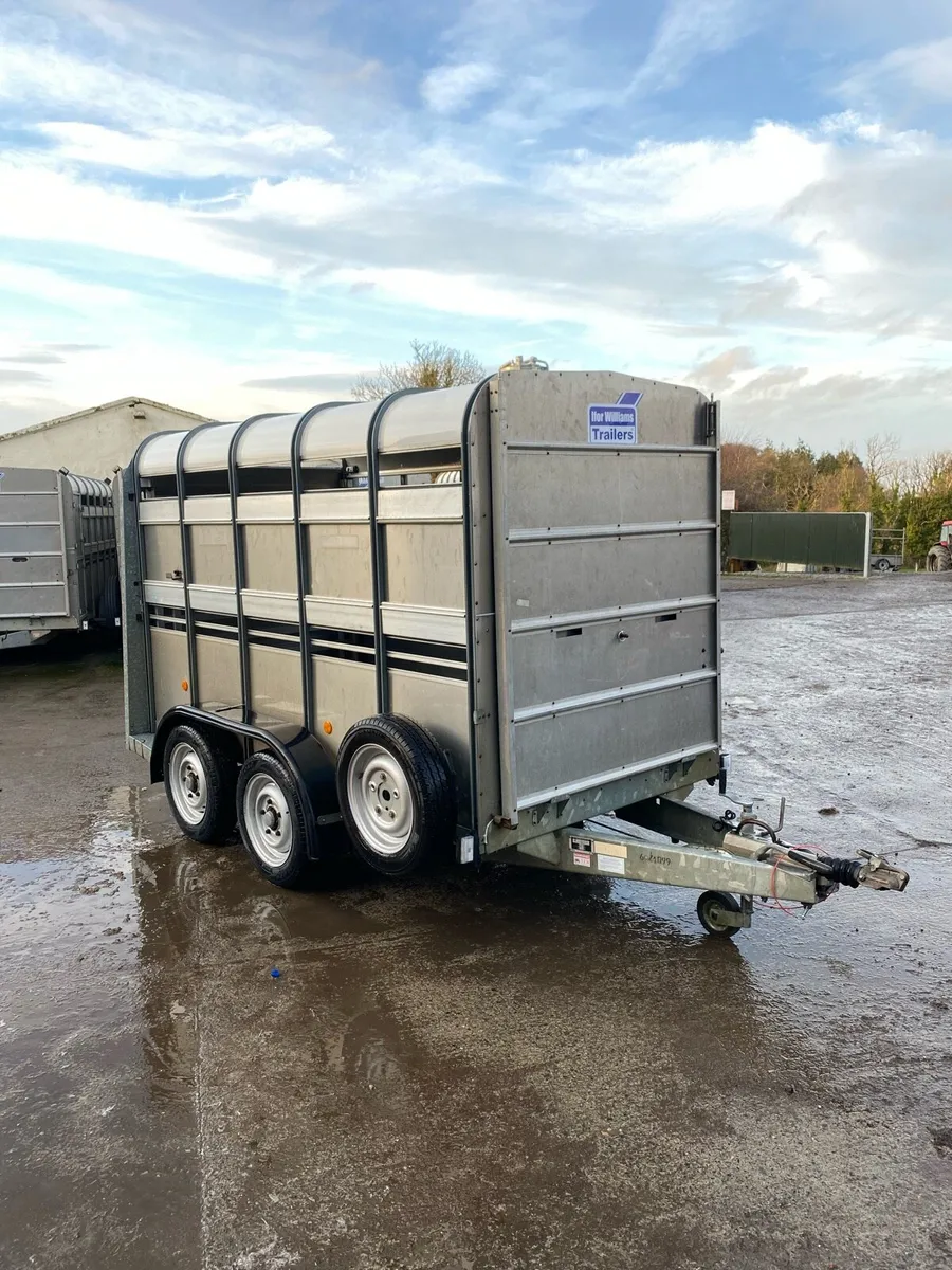 Ifor Williams livestock Trailer - Image 1