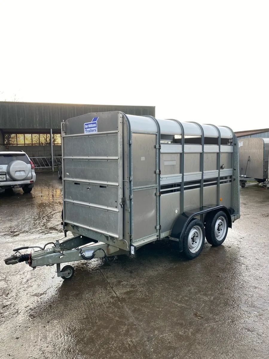 Ifor Williams livestock Trailer - Image 2