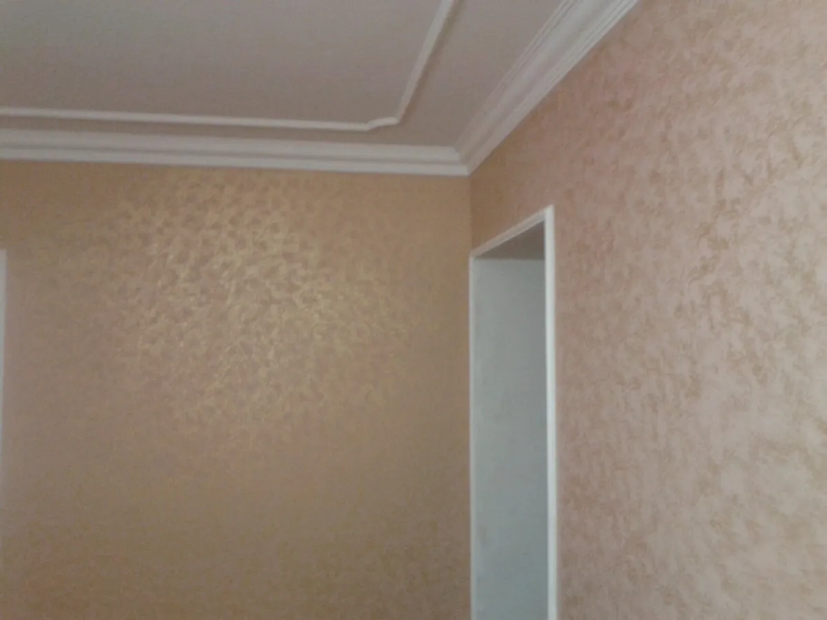 Painting, Doors, Flooring & Home Improvement Servi - Image 2