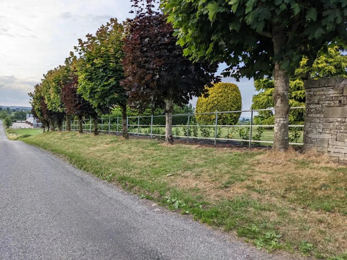 3 Bar Estate Fencing - Image 1