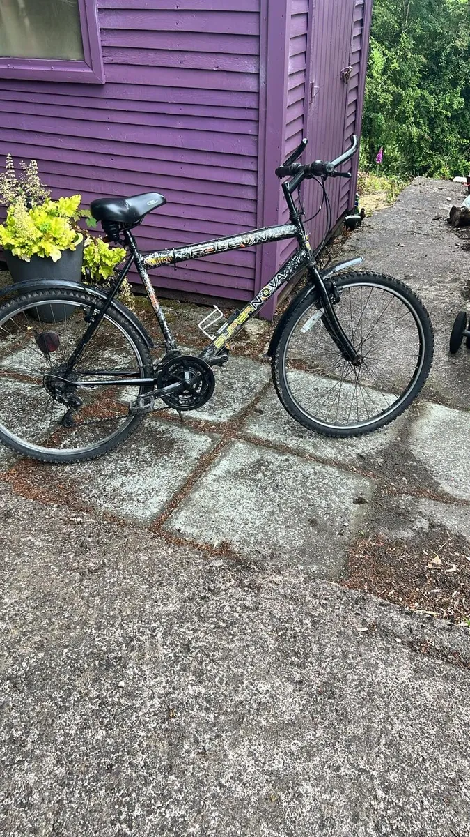 Mountain Bike - Image 1