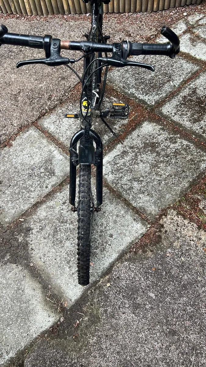 Mountain Bike - Image 2