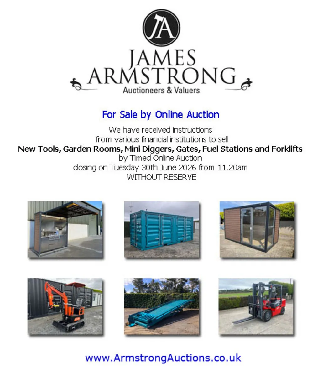New 20ft Multi-Door Container **Online Auction** - Image 2
