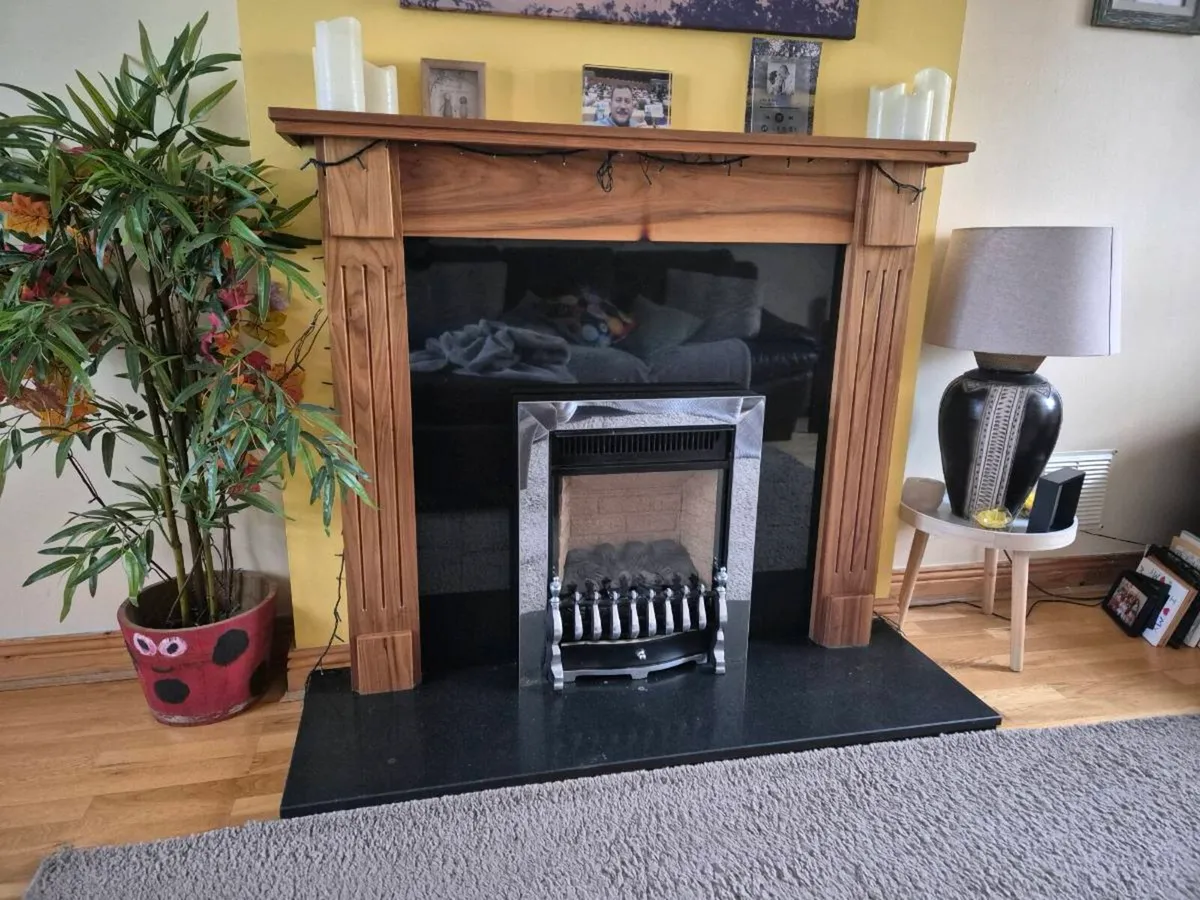 Gas Fire Insert - Image 4