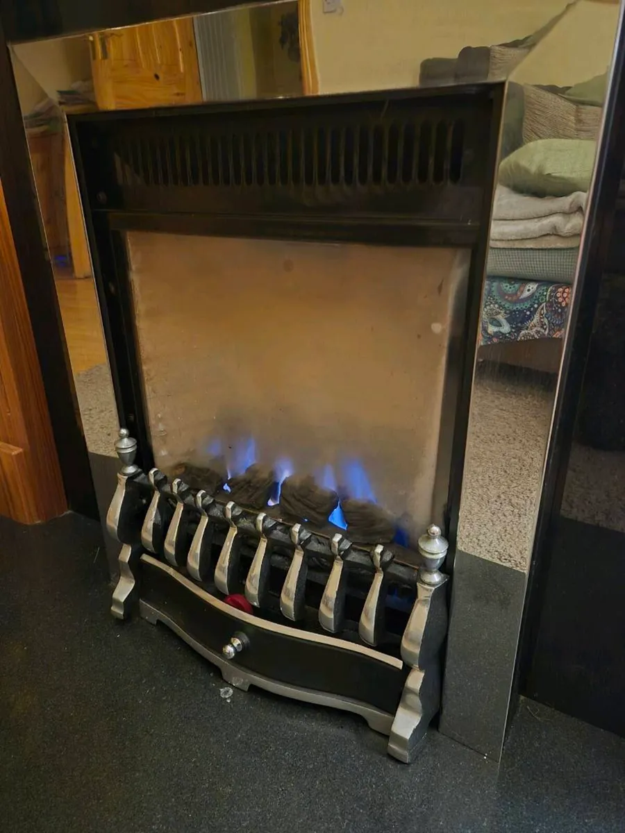 Gas Fire Insert - Image 2
