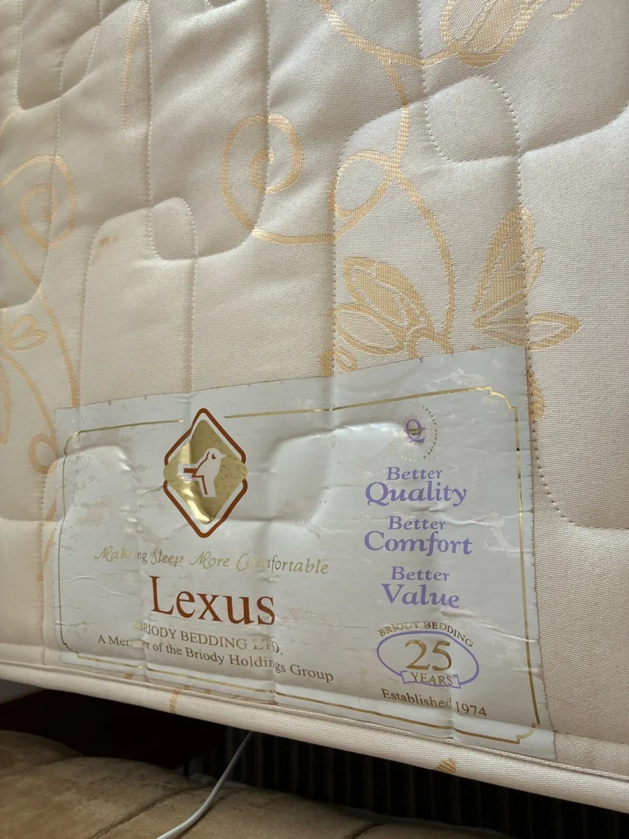 Lexus single bed and mattress and headboard - Image 2