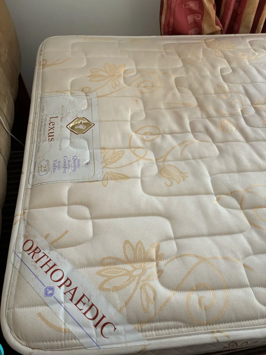 Lexus single bed and mattress and headboard - Image 3
