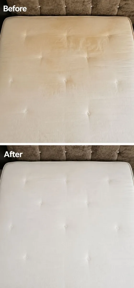 Carpet & Upholstery Cleaning and Handyman Services - Image 4