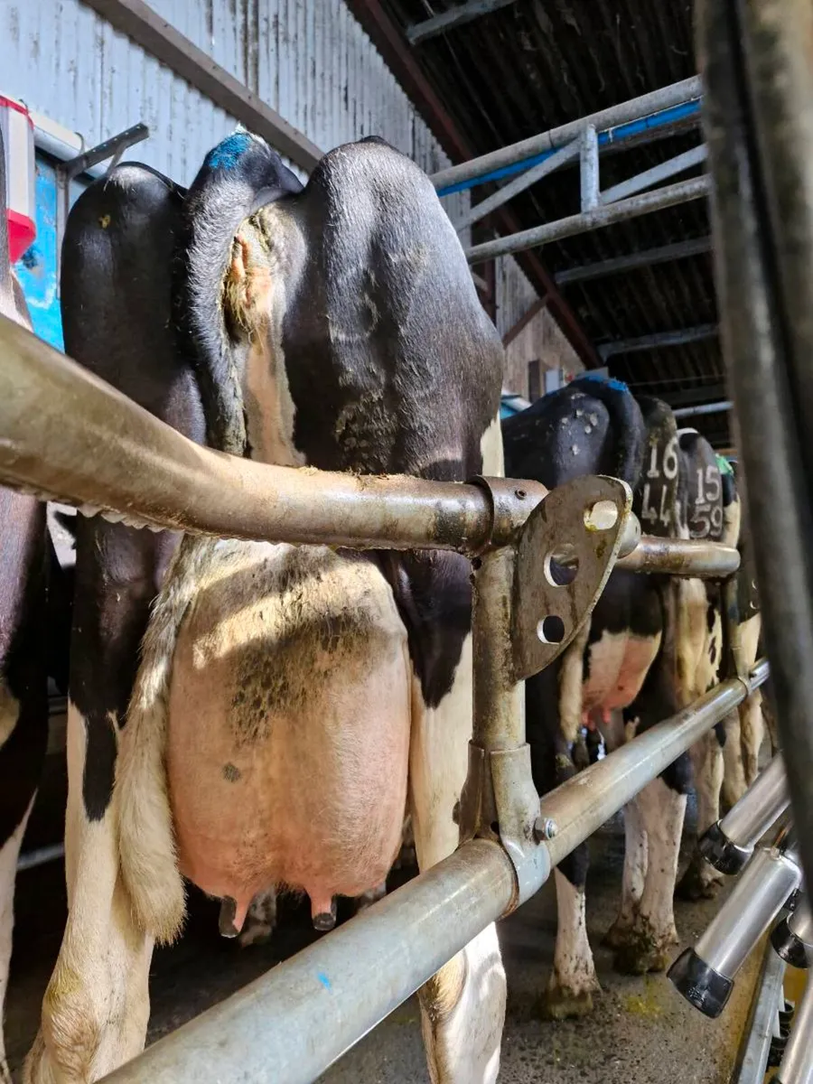 Relief milker