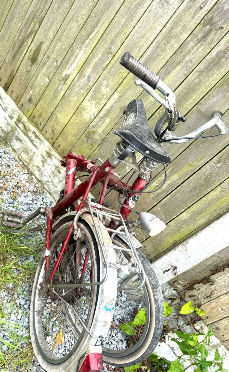 Bicycle - Image 4