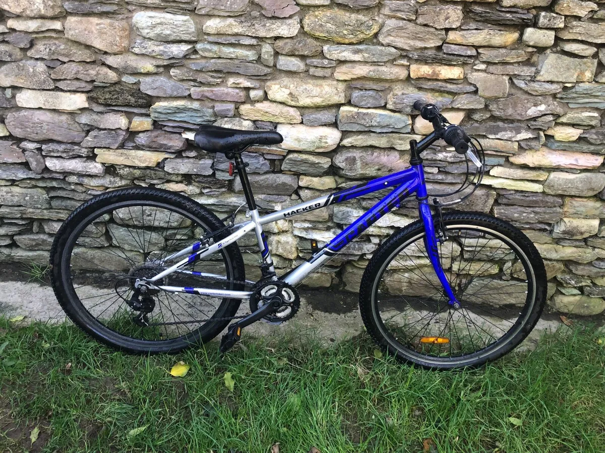Kids 14 year old bike - Image 1