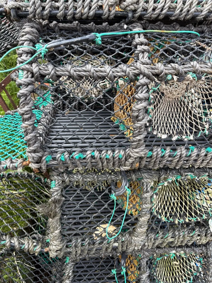 Crab/lobster pots - Image 3