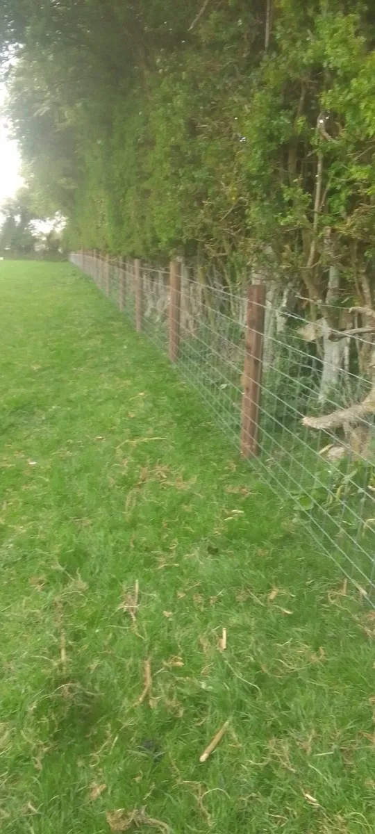 Fencing Contractor - Image 4