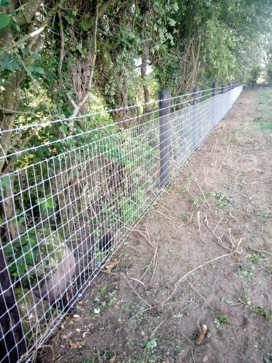 Fencing Contractor - Image 1