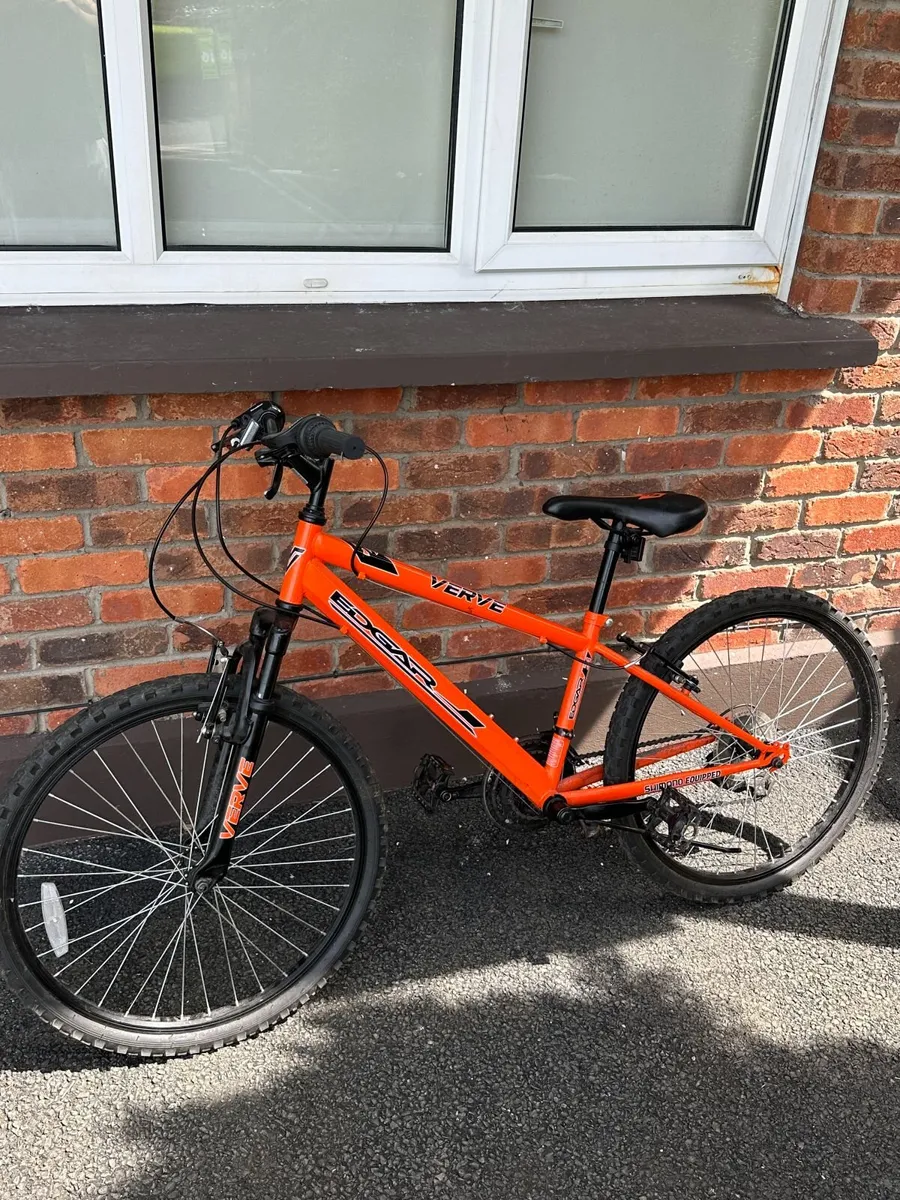 Verve Edgar 24" Bike – €100 - Image 1