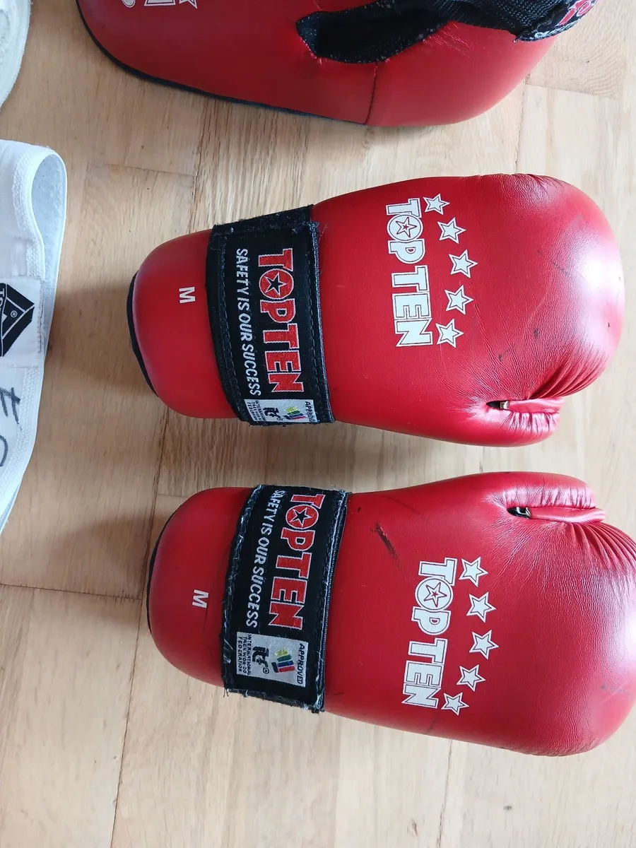 Taekwondo Sparring Gear - Image 3