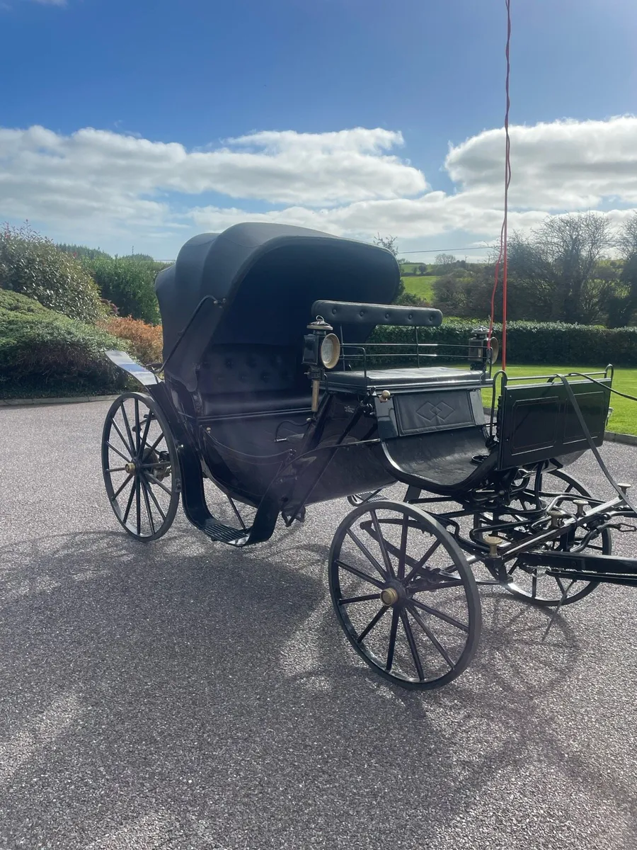 Horse carriage - Image 1