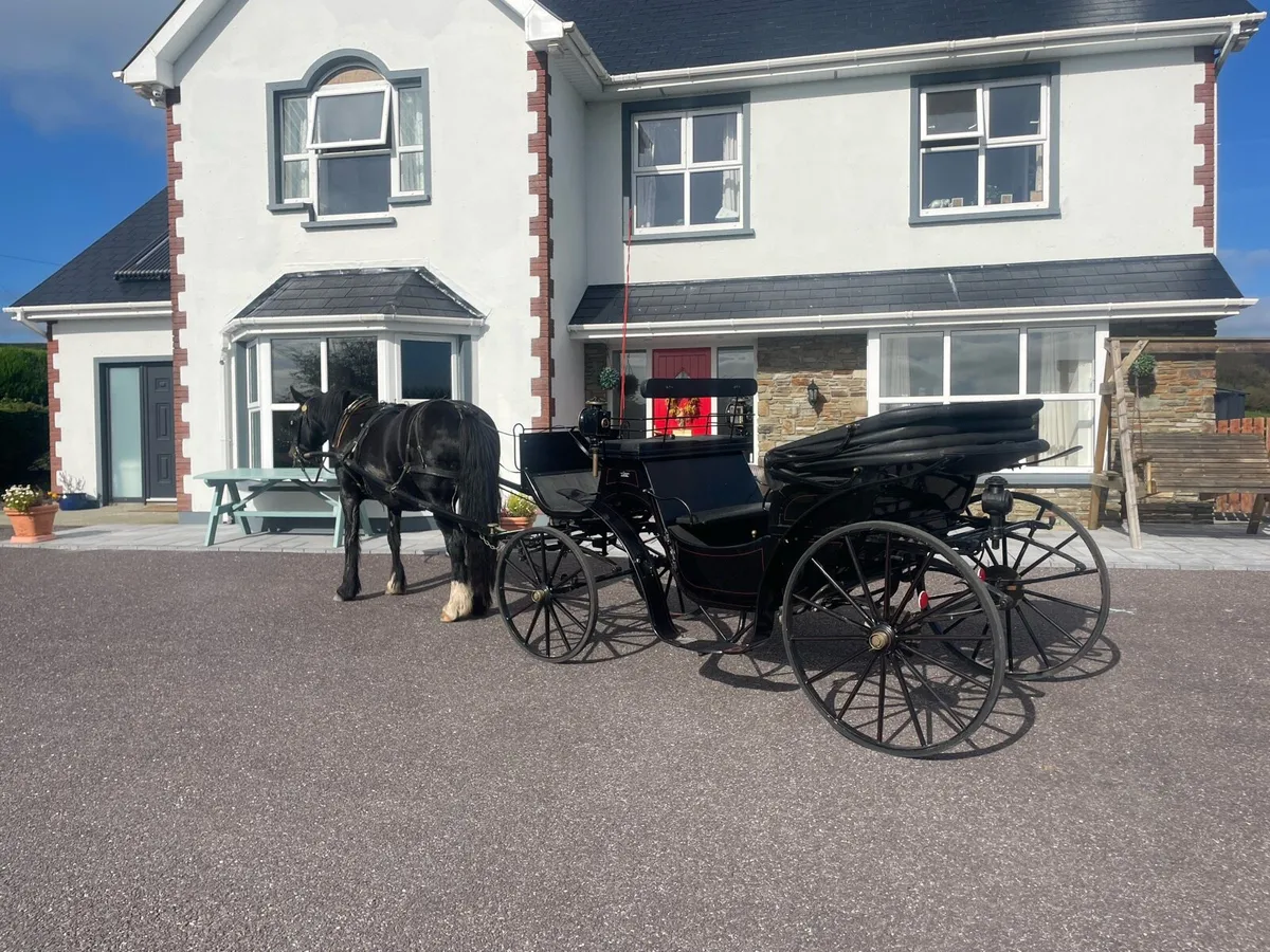 Horse carriage - Image 2