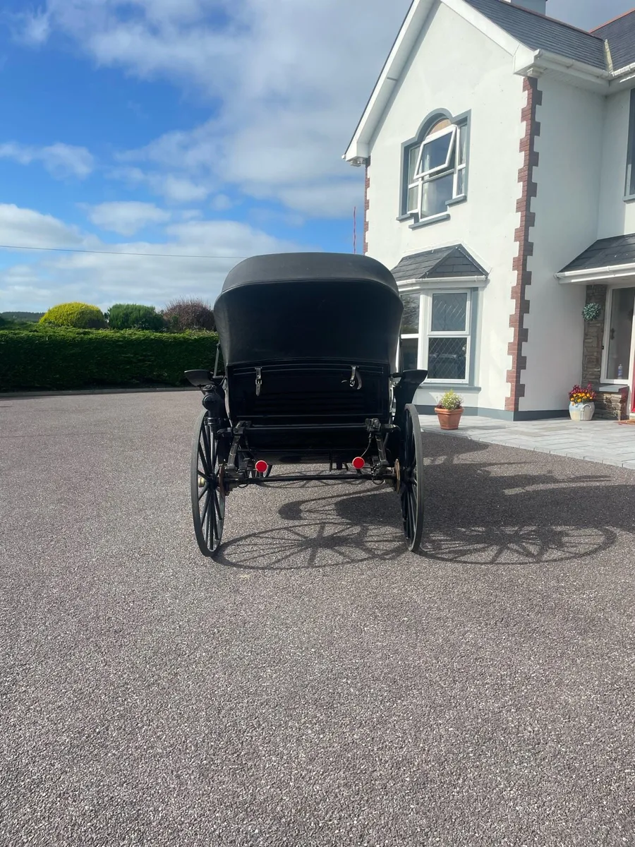 Horse carriage - Image 4