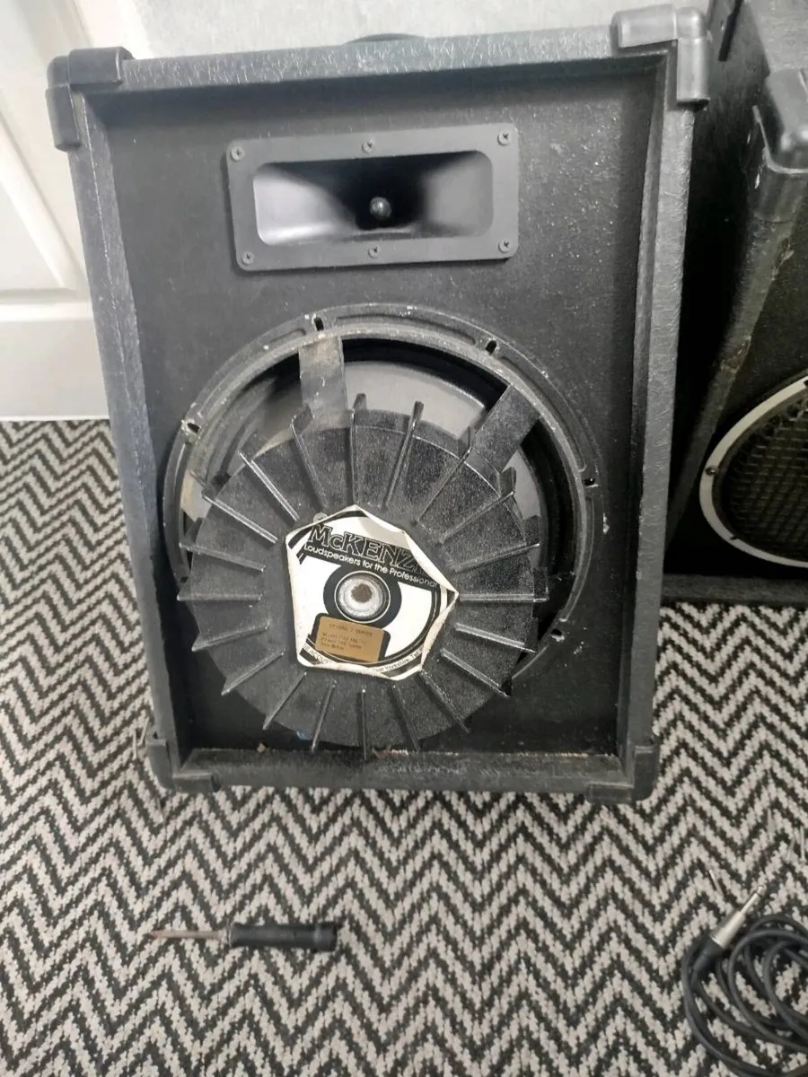 Pa Speakers - Image 4