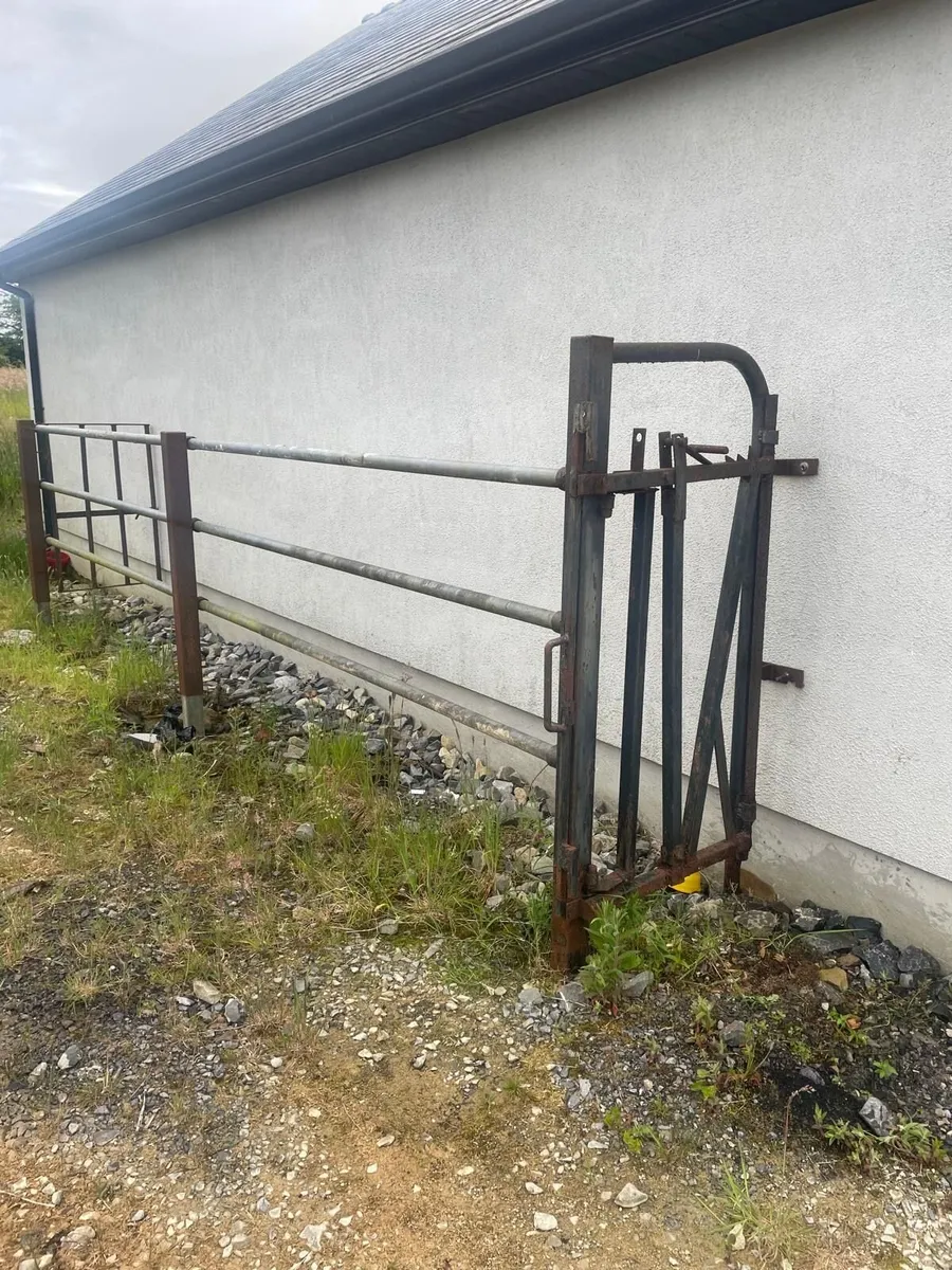 Cattle Crush - Image 1