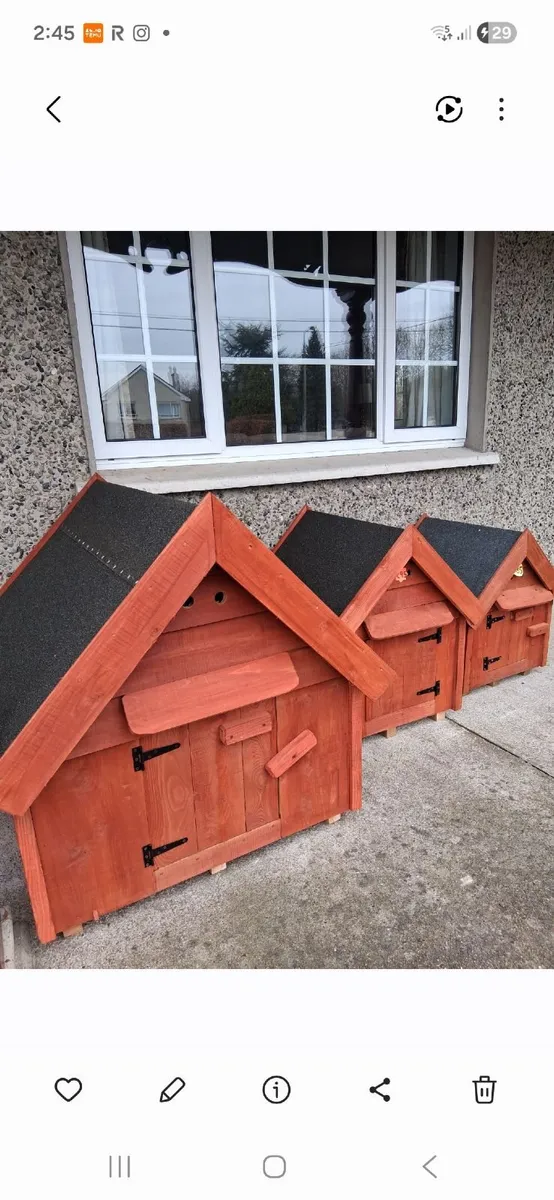 Dog kennels - Image 1