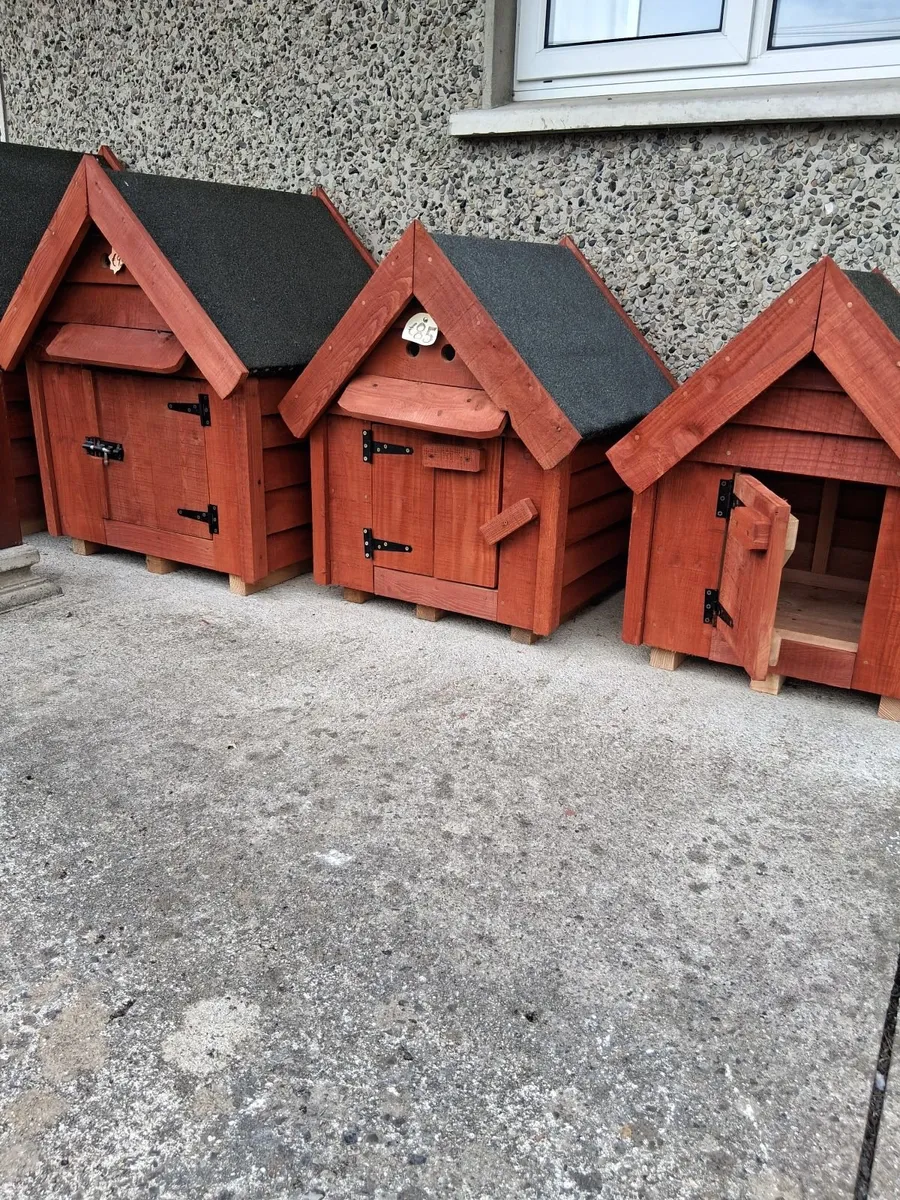 Dog kennels - Image 2