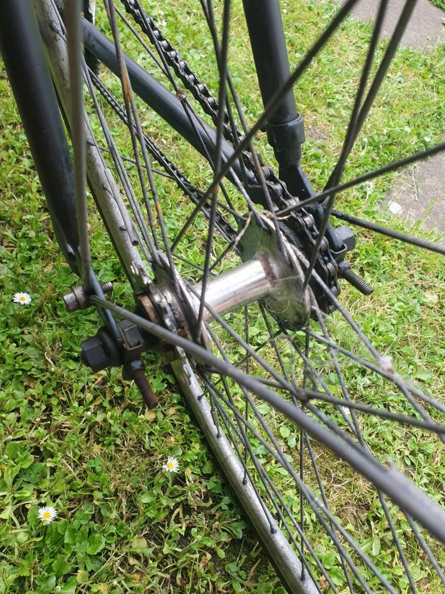 Fixie - Image 4