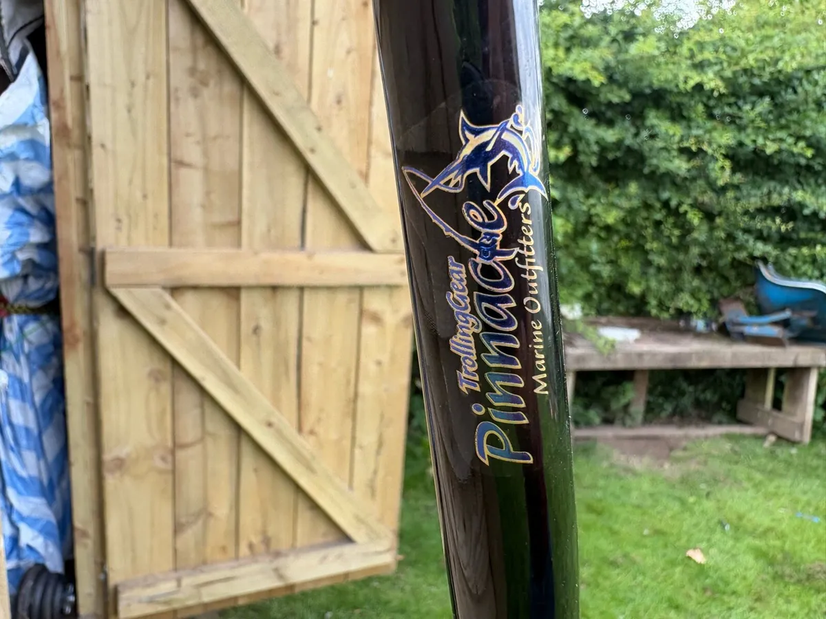 Avet pro  exw 80/2 reel and pinnacle 130 tsx rod - Image 3