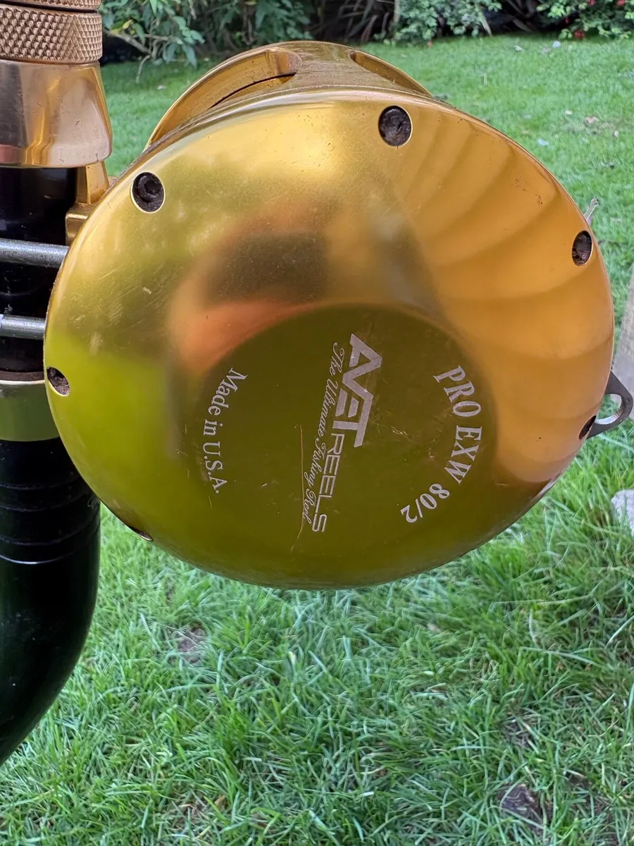Avet pro  exw 80/2 reel and pinnacle 130 tsx rod - Image 1